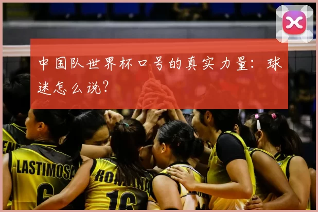 中国队世界杯口号的真实力量：球迷怎么说？