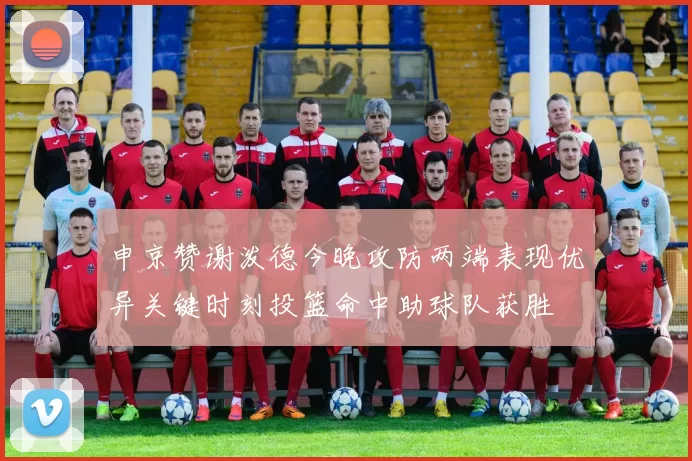 申京赞谢泼德今晚攻防两端表现优异关键时刻投篮命中助球队获胜