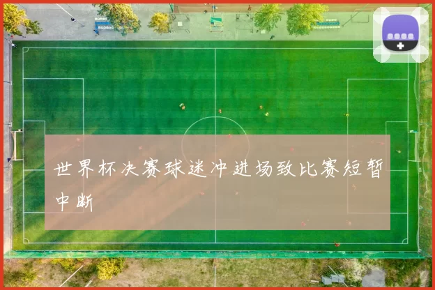 世界杯决赛球迷冲进场致比赛短暂中断