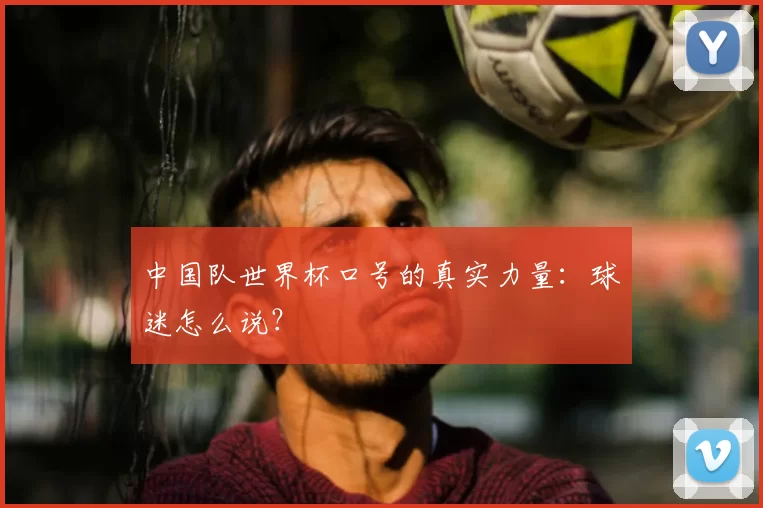 中国队世界杯口号的真实力量：球迷怎么说？
