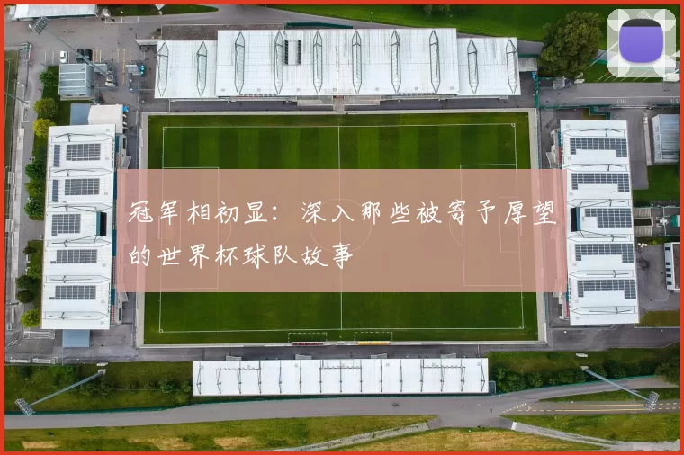 冠军相初显:深入那些被寄予厚望的世界杯球队故事