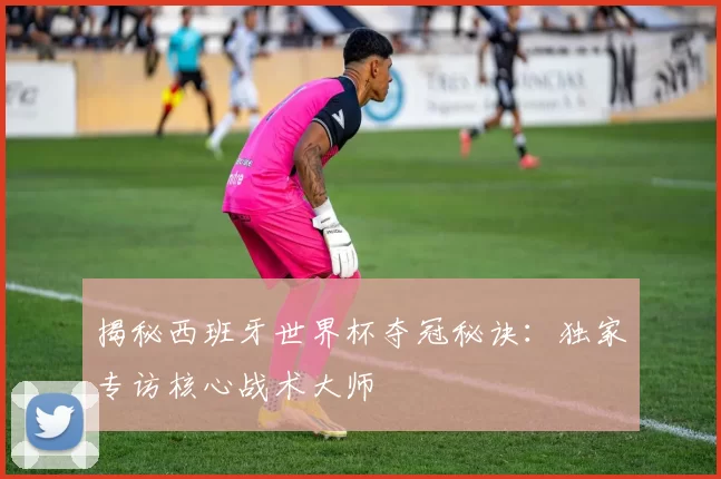 揭秘西班牙世界杯夺冠秘诀：独家专访核心战术大师