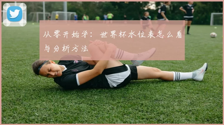 从零开始学：世界杯水位表怎么看与分析方法