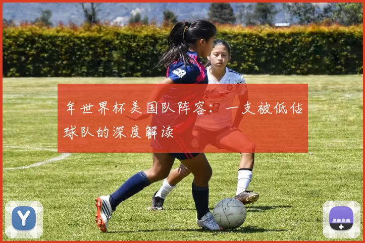 年世界杯美国队阵容：一支被低估球队的深度解读