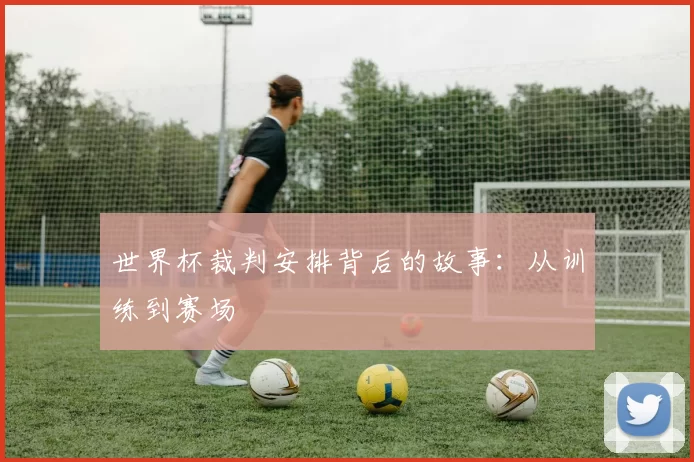 世界杯裁判安排背后的故事：从训练到赛场