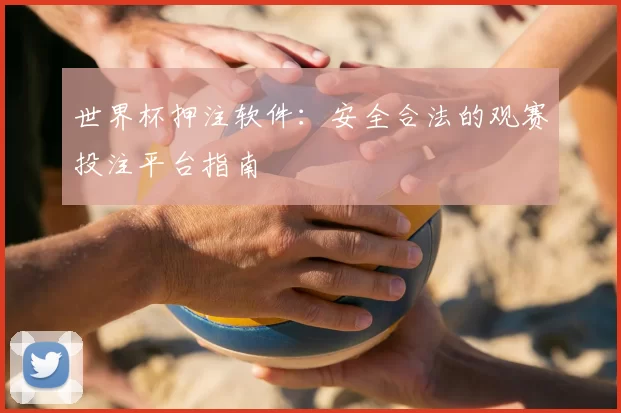 世界杯押注软件：安全合法的观赛投注平台指南