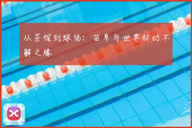 从茶馆到球场：苗阜与世界杯的不解之缘