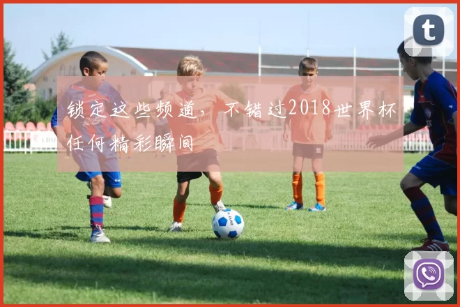 锁定这些频道，不错过2018世界杯任何精彩瞬间