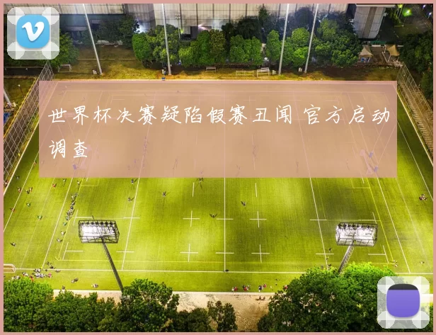 世界杯决赛疑陷假赛丑闻 官方启动调查