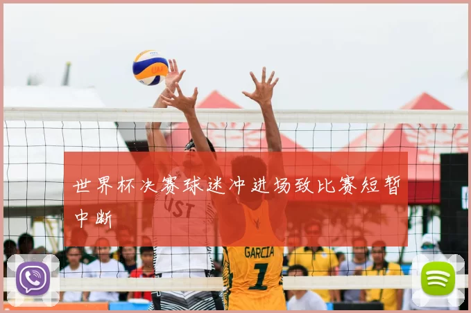 世界杯决赛球迷冲进场致比赛短暂中断