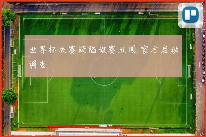 世界杯决赛疑陷假赛丑闻 官方启动调查