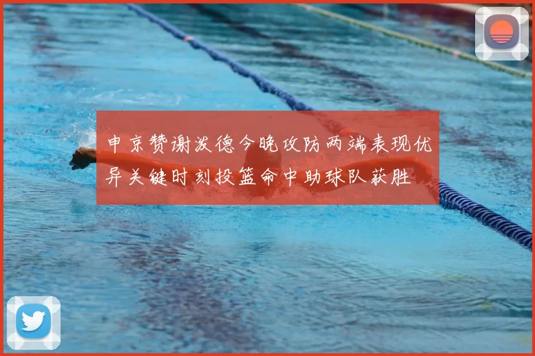 申京赞谢泼德今晚攻防两端表现优异关键时刻投篮命中助球队获胜